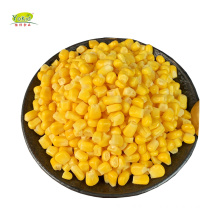 Haccp IQF Super Sweet Corn Kernel Bulk